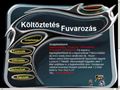 http://fuvarozas.try.hu ismertető oldala